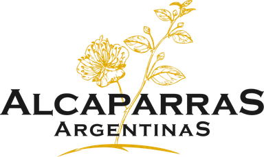 logo-13
