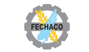 logo-20
